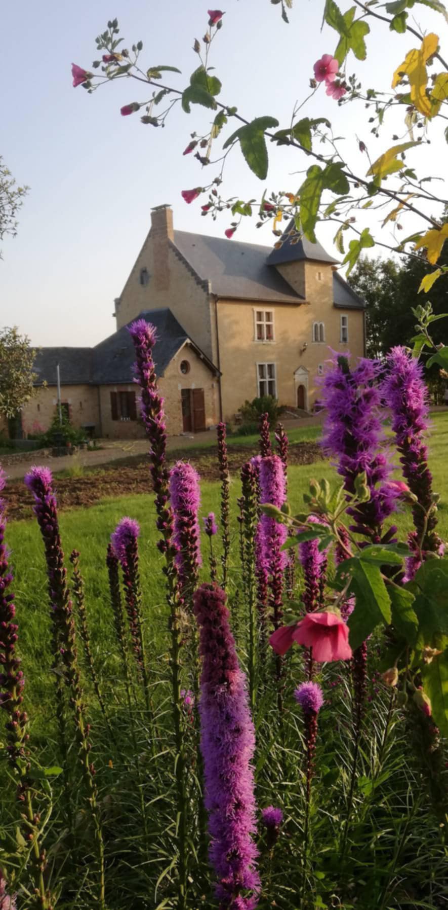 Chambre d’hôtes en Anjou avec piscine à Huillé-Lézigné